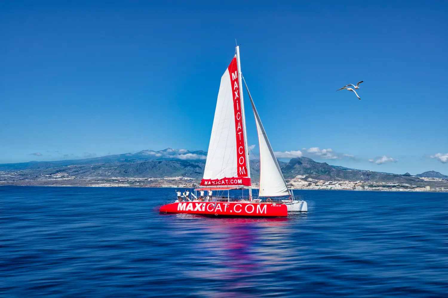 Excursión Barco Maxicat