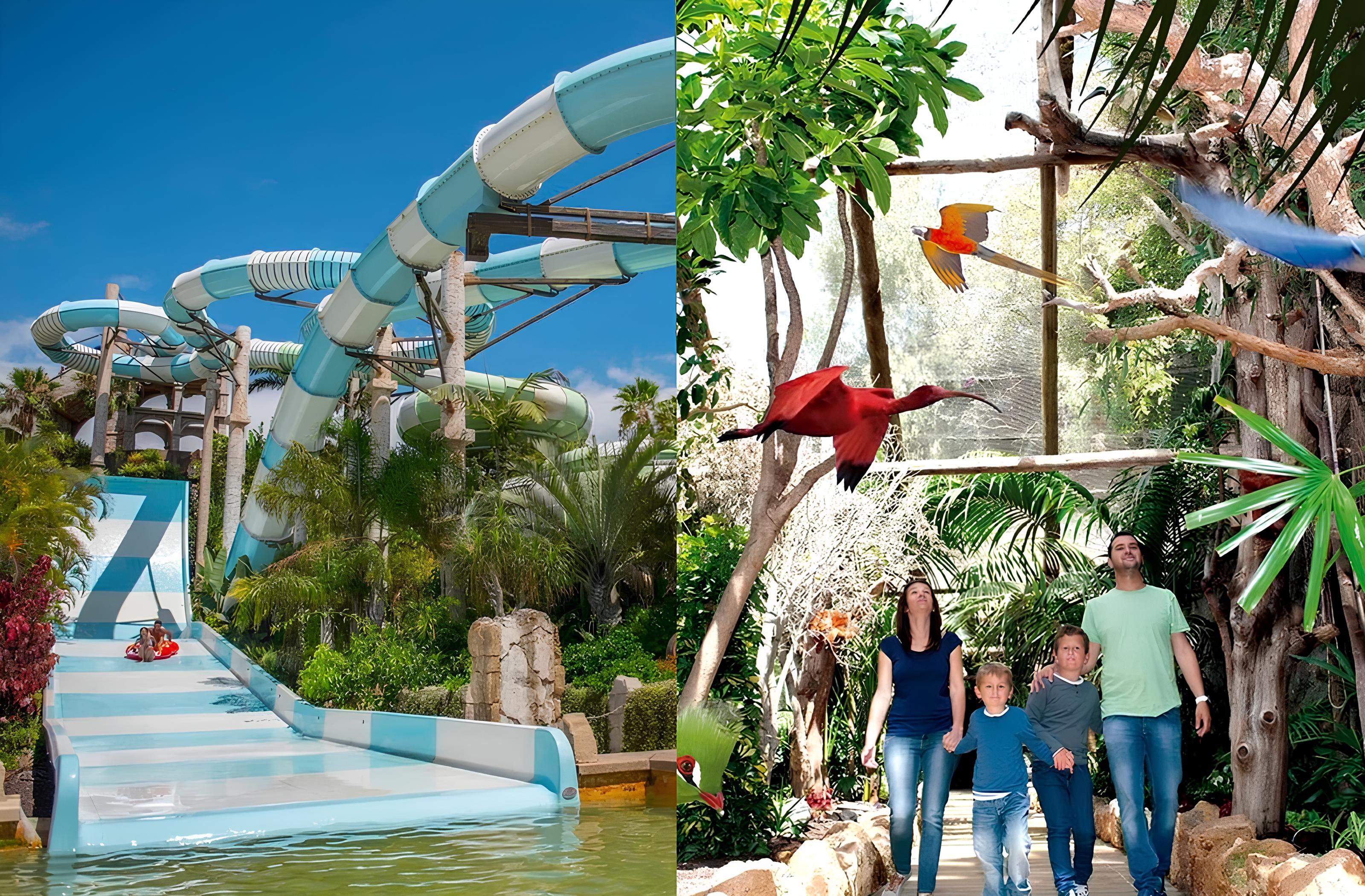 Excursión Aqualand y Jungle Park