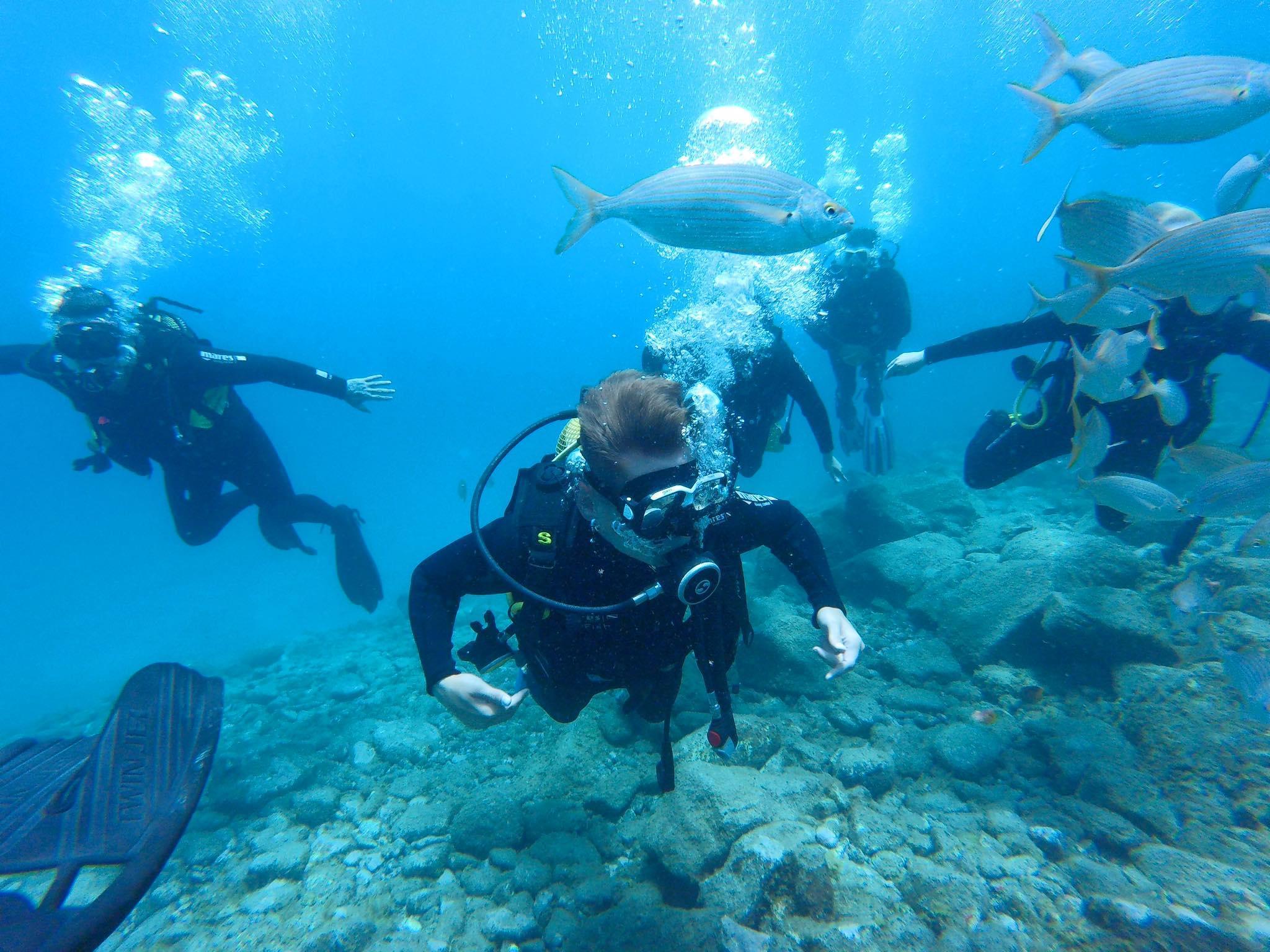 Excursión Buceo y Snorkel Big Fish