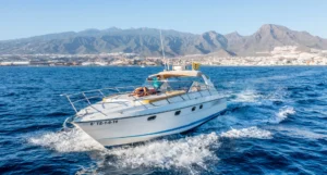 skyline-cruiser-tenerife-fairline-42-motor-boat-charter1