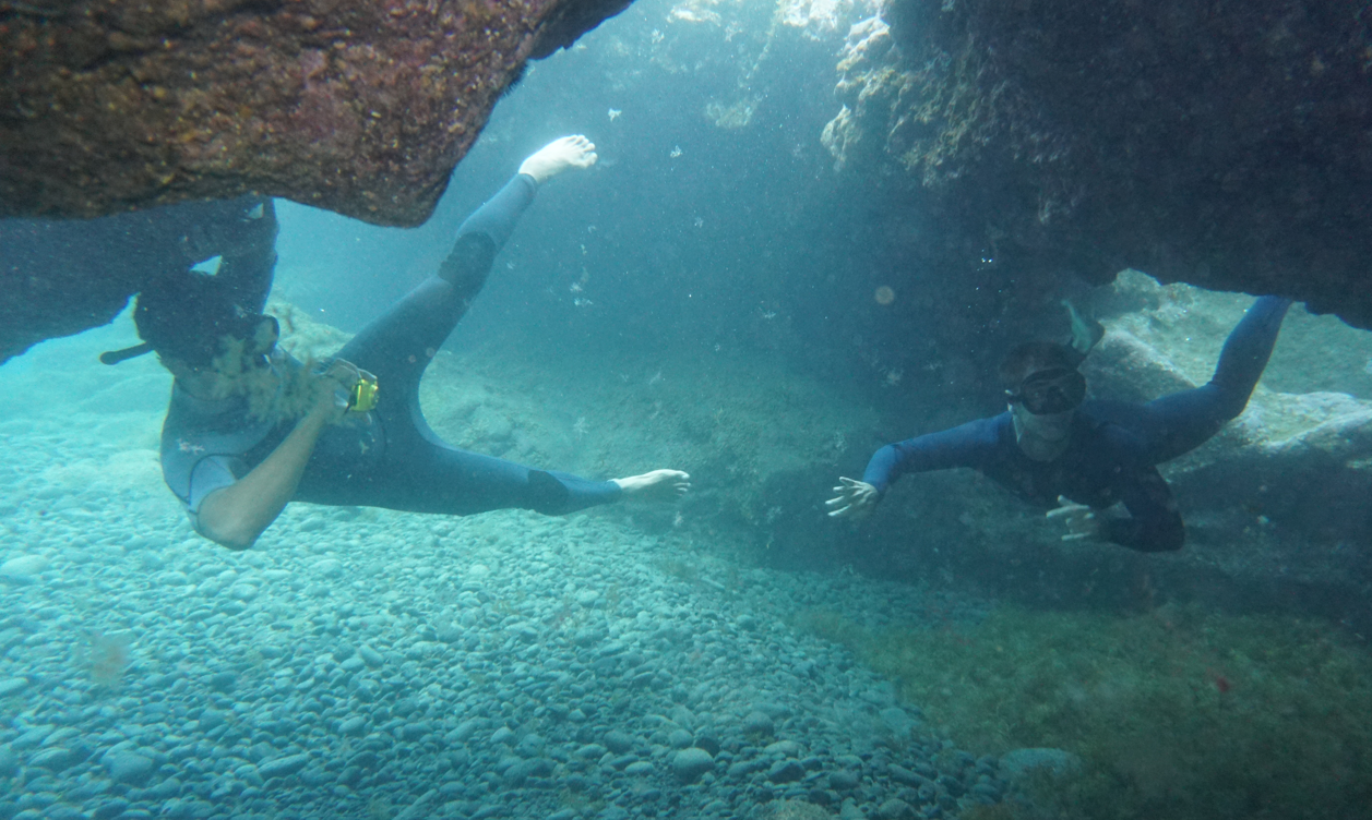 Excursión Snorkel en el norte de Tenerife