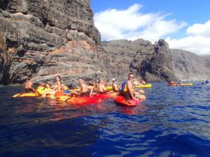 Excursión Kayak los Gigantes + Cetáceos