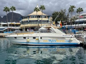 Excursión Skyline Cruiser