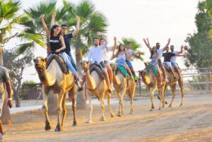 Excursión Camel Park por Tenerife