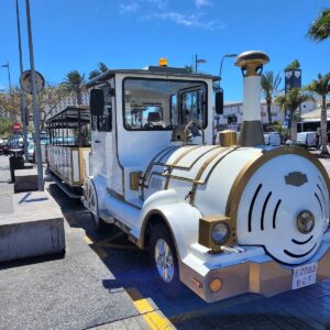 Excursión Tren Turístico