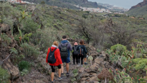 Excursión Rutas de Senderismo en Tenerife