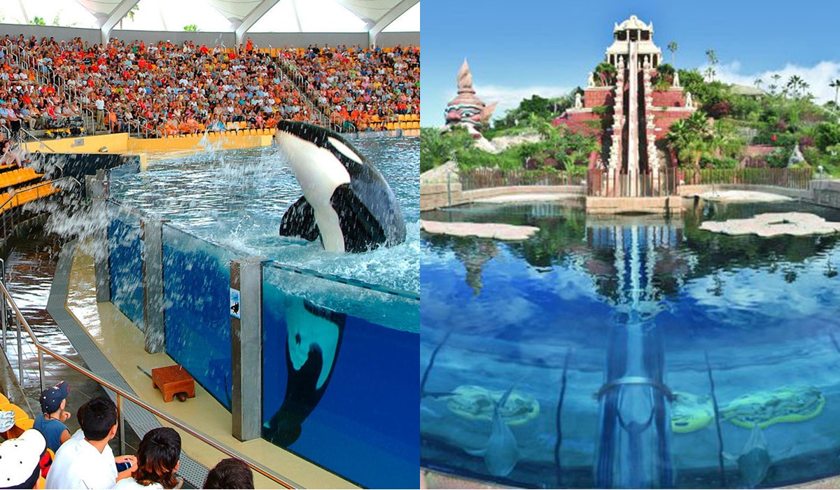 Excursión Twin Ticket Loro Parque + Siam Park