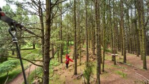 Excursión Forestal Park