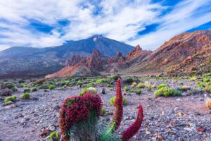 Excursión Exkursionen auf Französisch