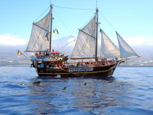 Barco Flipper Uno Tenerife