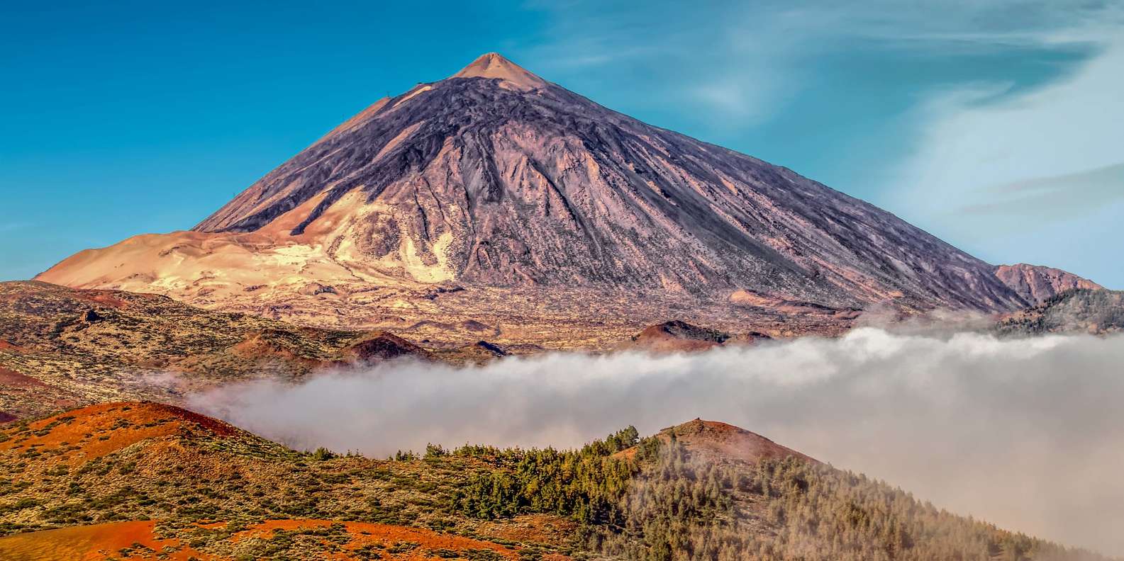 Excursión Teide medio día por la mañana