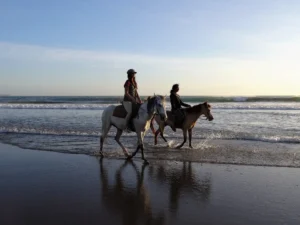 Excursión Paseos a caballo