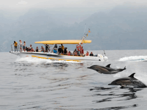 Excursión Barco Masca Express